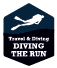 Diving The Run the best diving in caribbean and boat class
